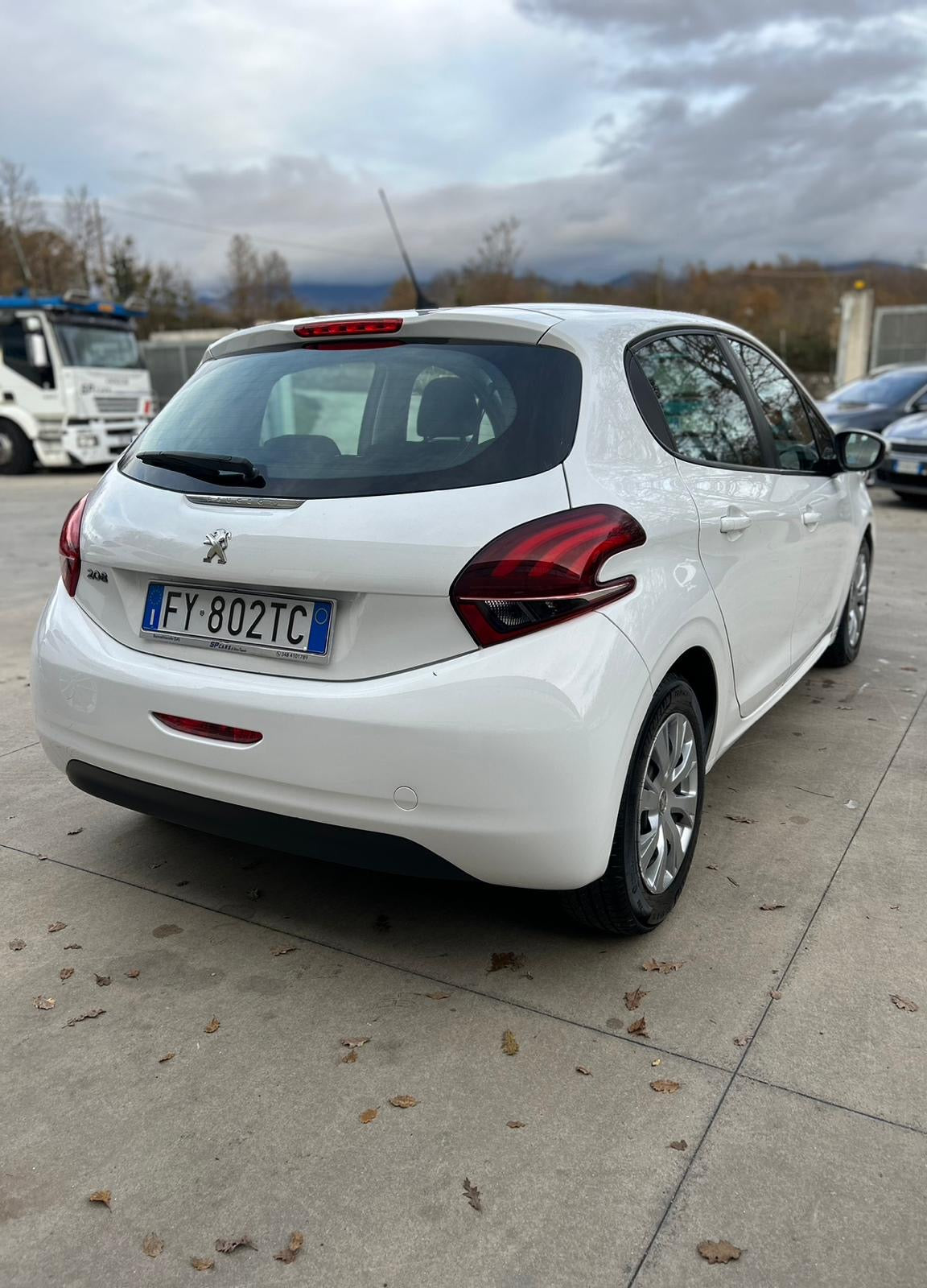 Peugeot 208 Feline