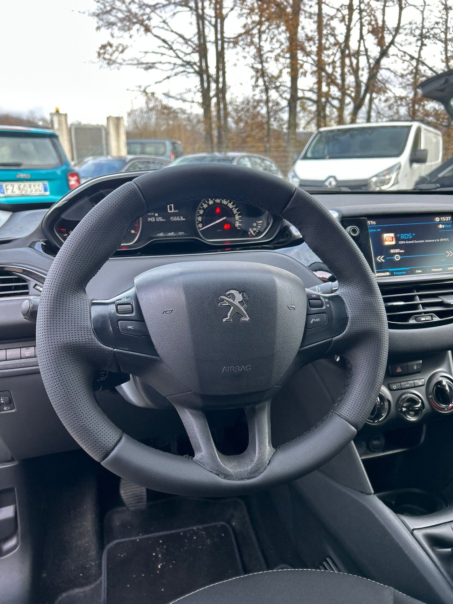 Peugeot 208 Feline