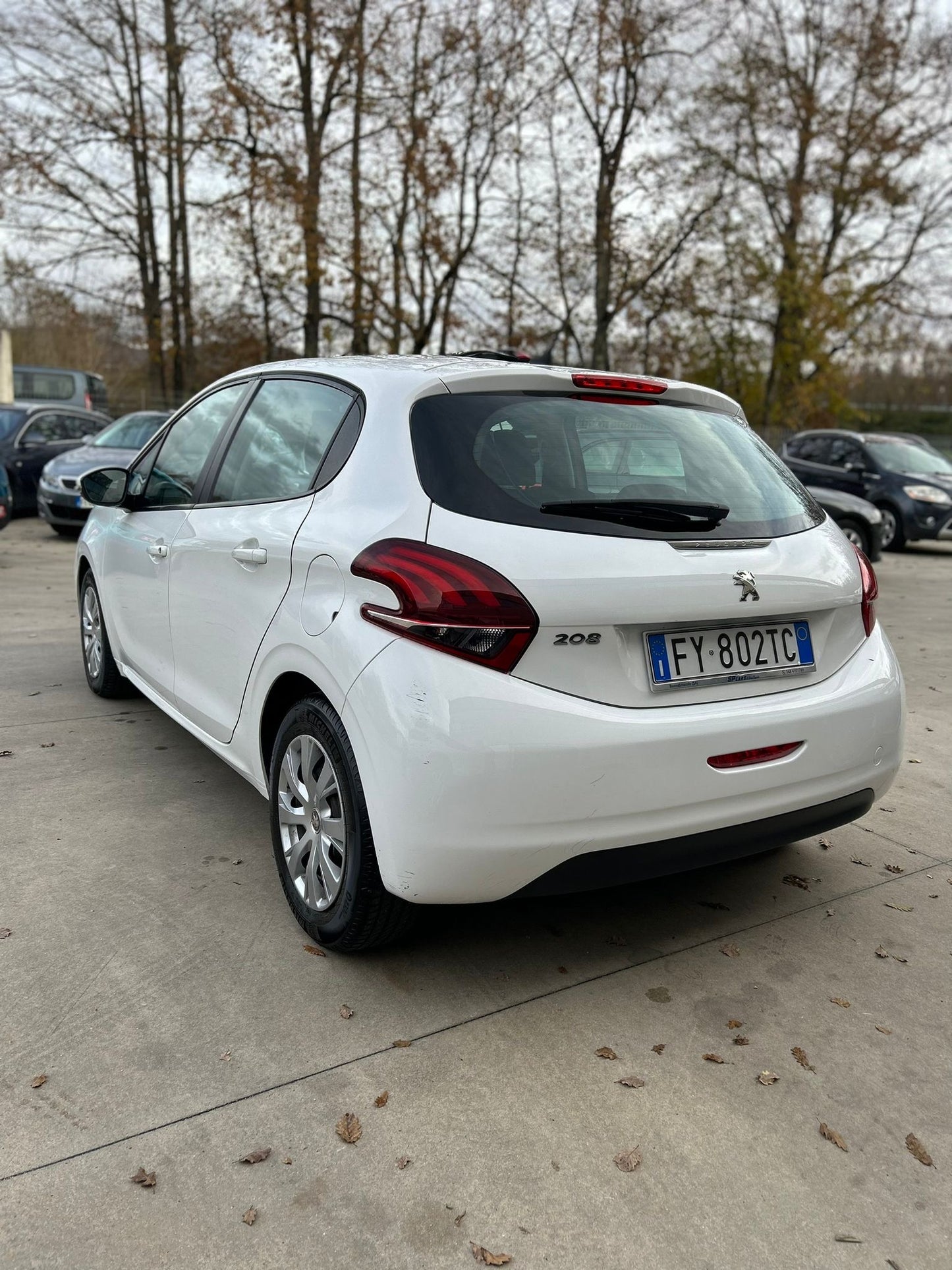 Peugeot 208 Feline