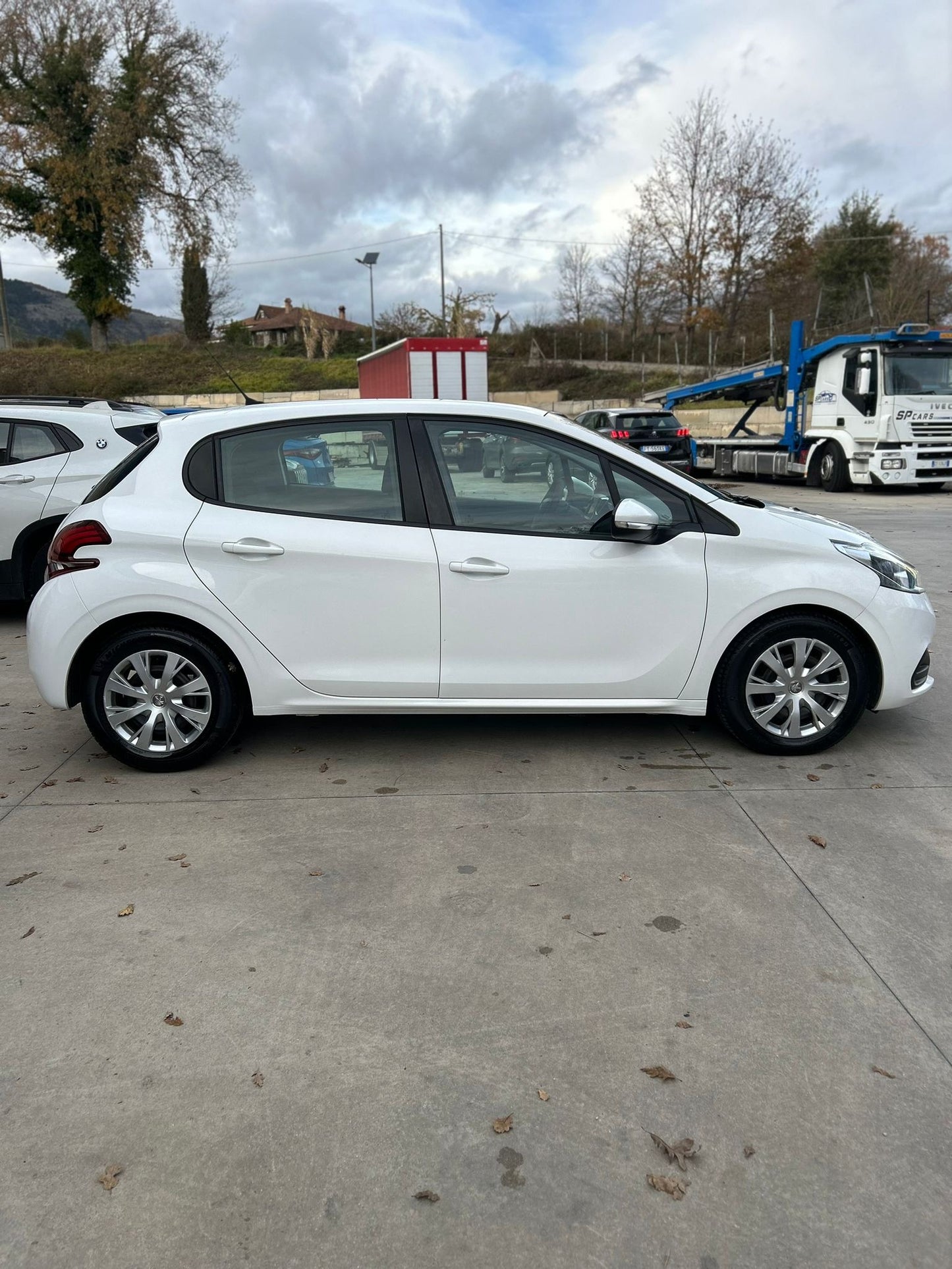 Peugeot 208 Feline