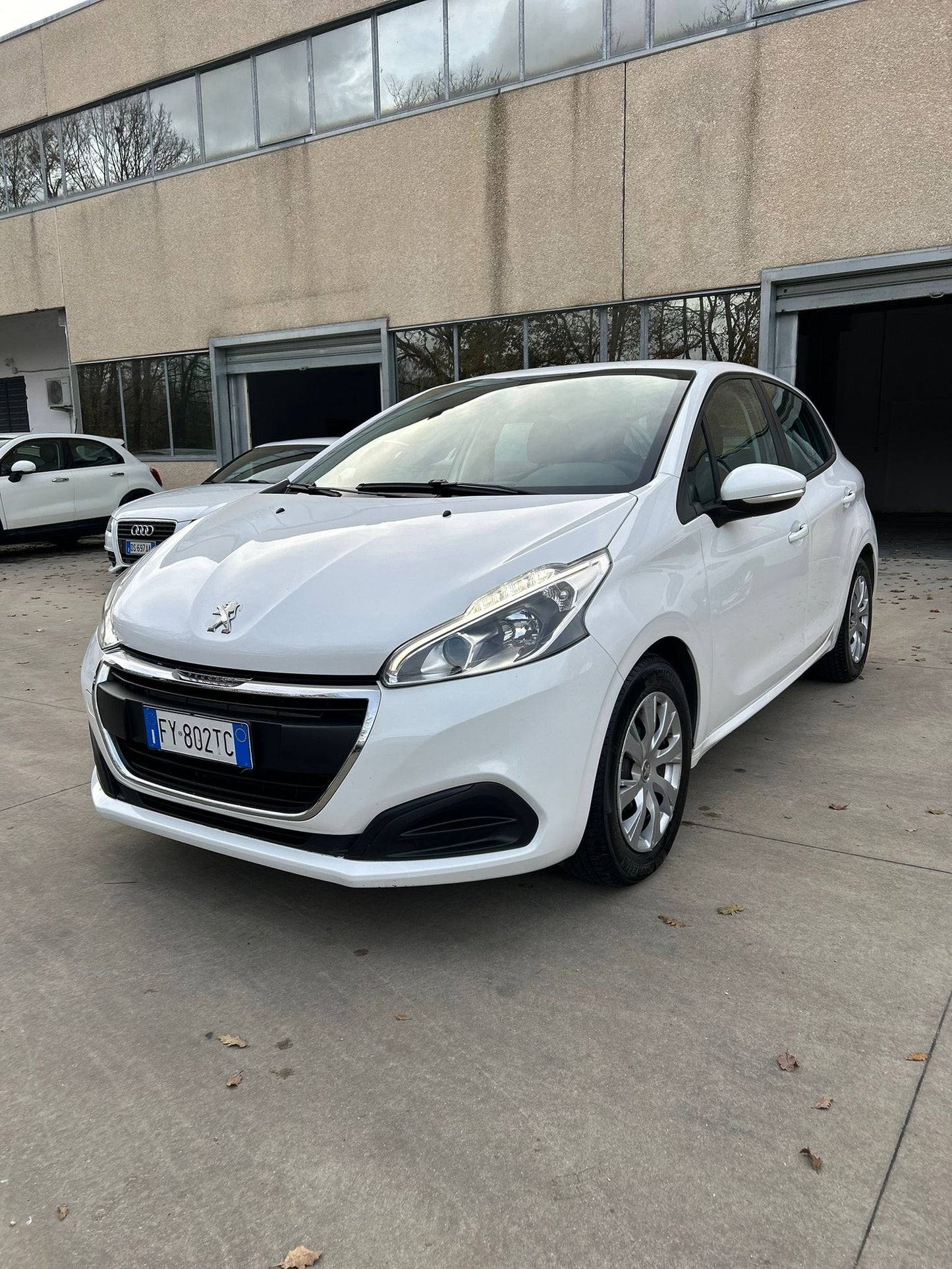 Peugeot 208 Feline