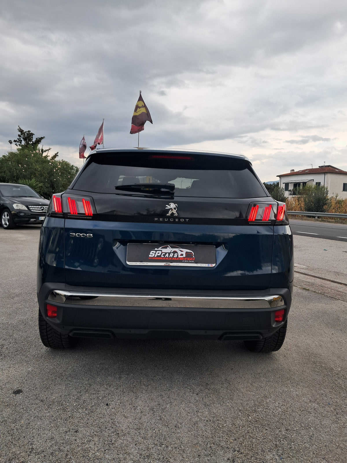PEUGEOT 3008