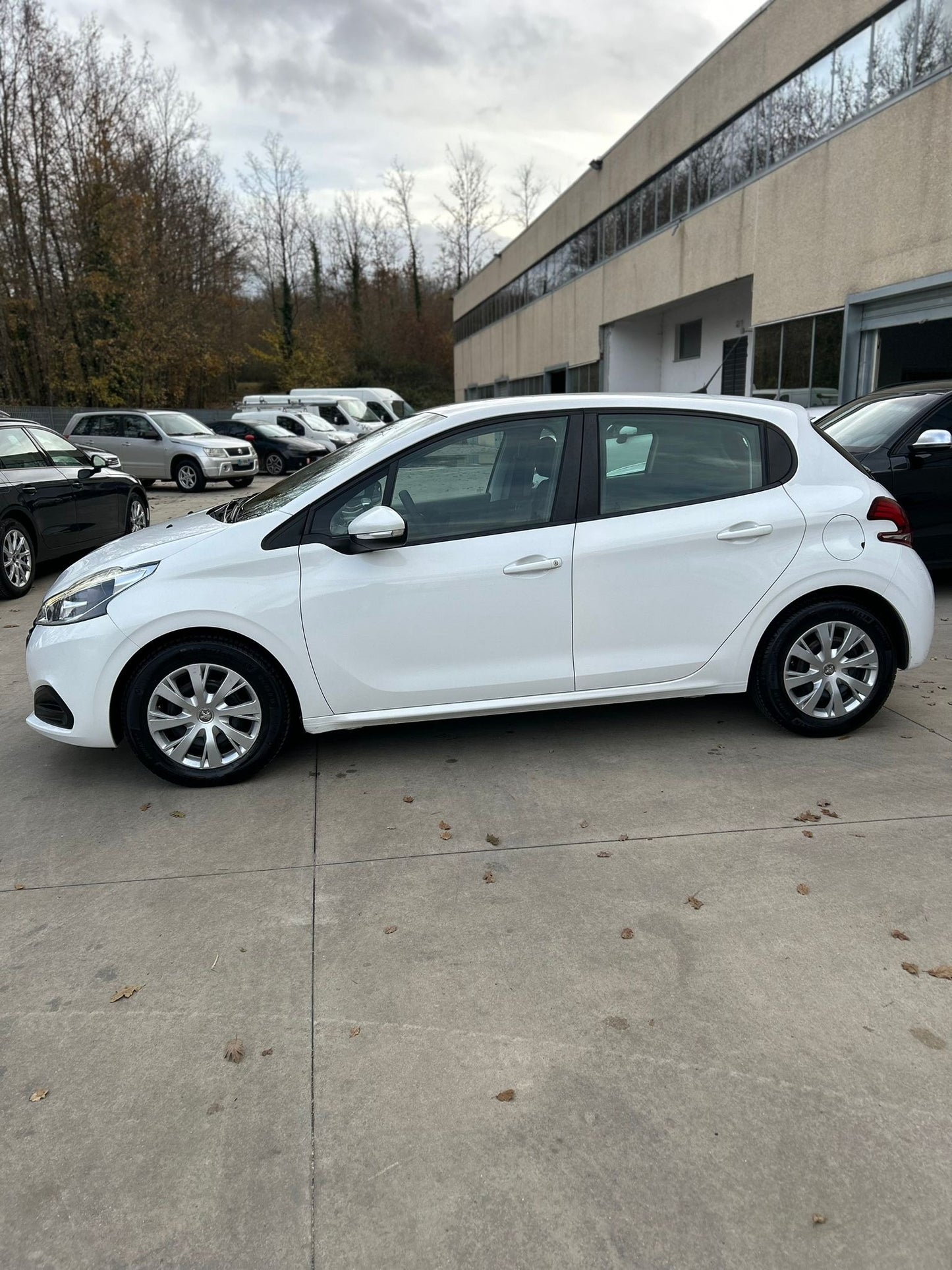 Peugeot 208 Feline