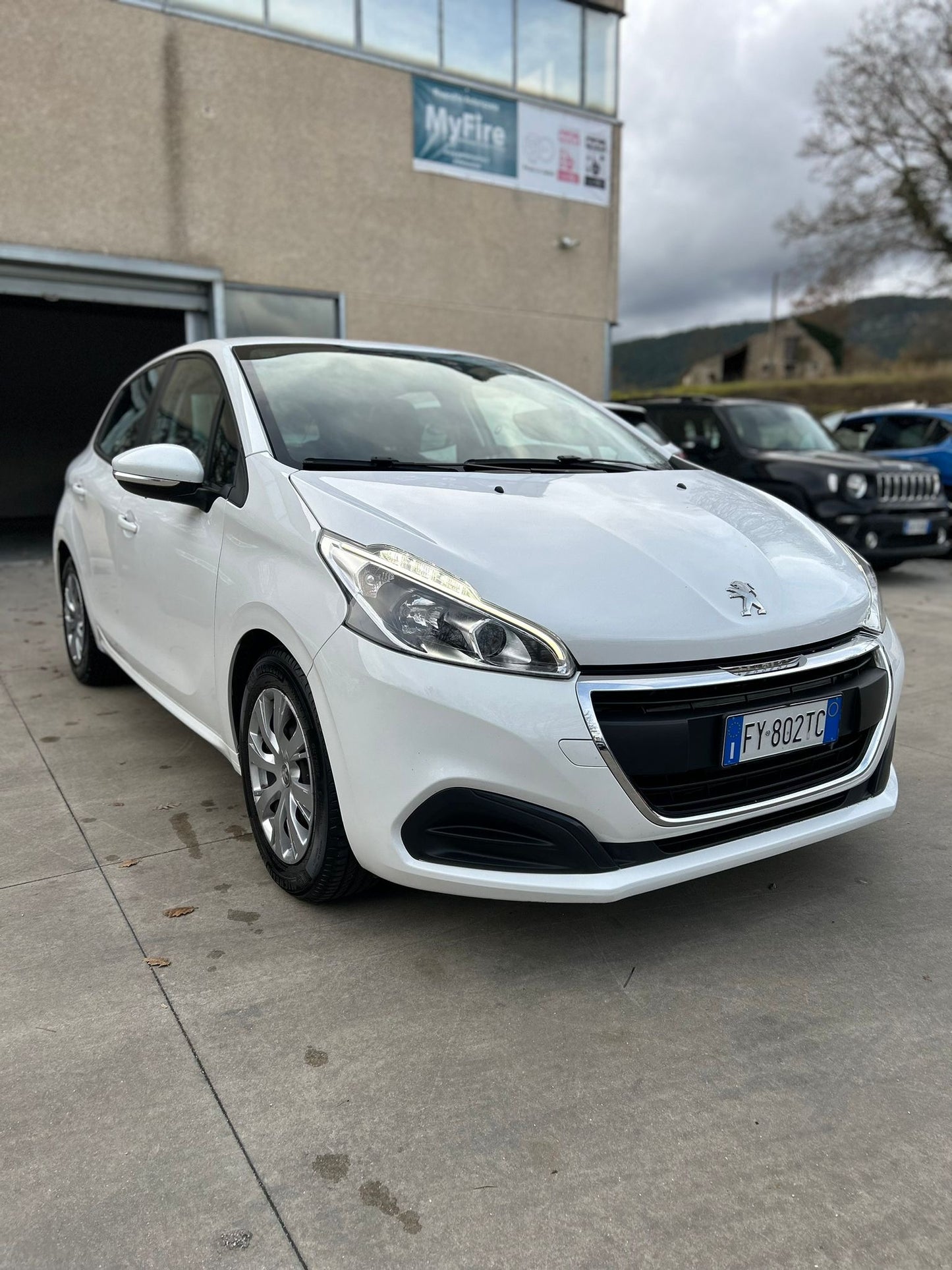 Peugeot 208 Feline