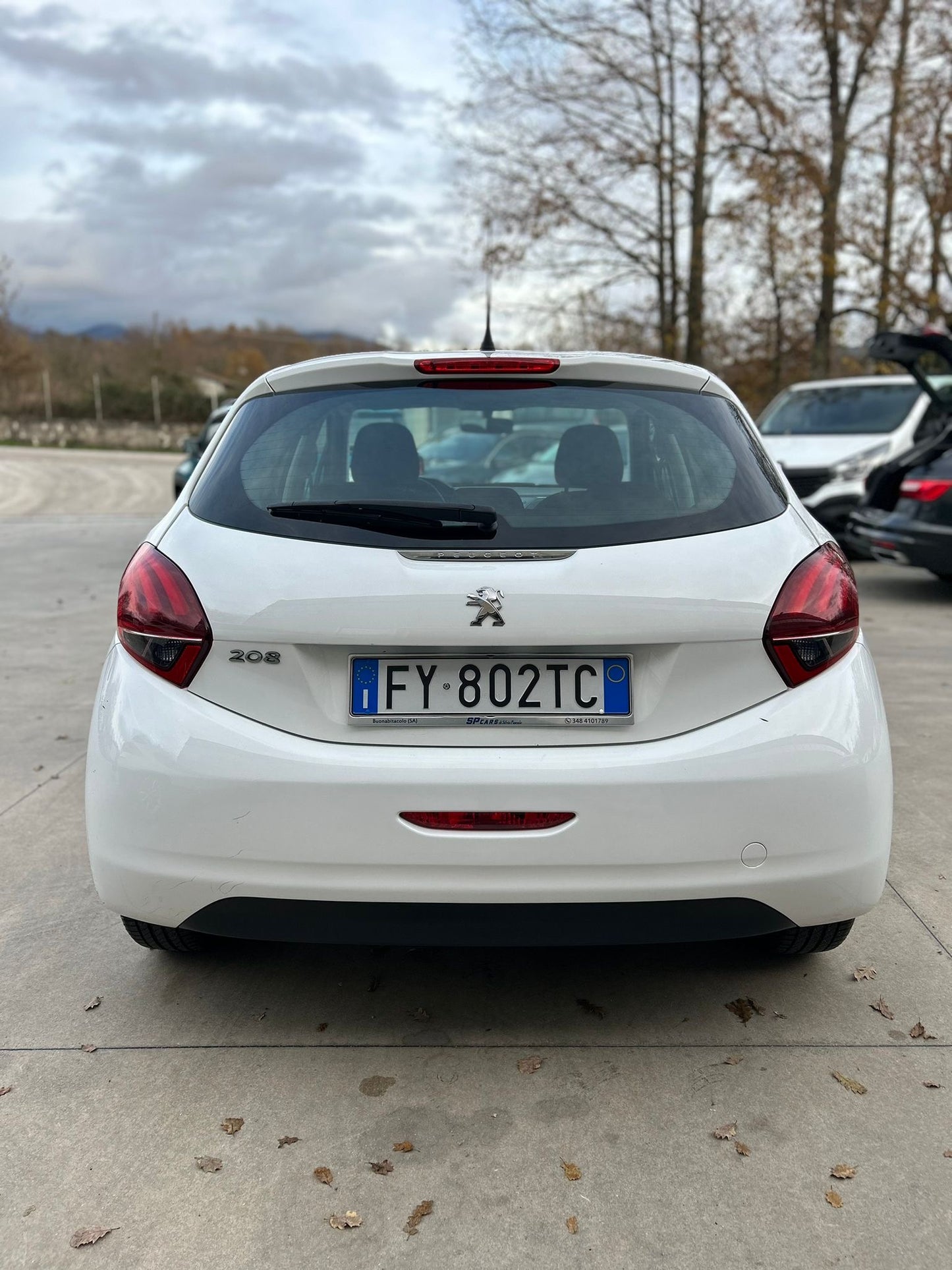 Peugeot 208 Feline